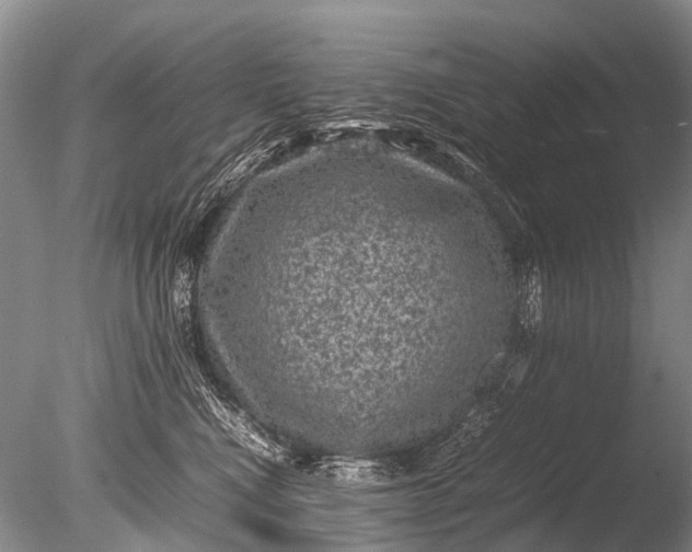 X0000085810472200703301530