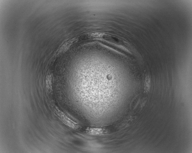 X0000085810473200703301530