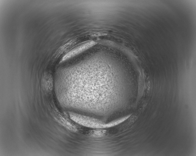 X0000085810474200703301530