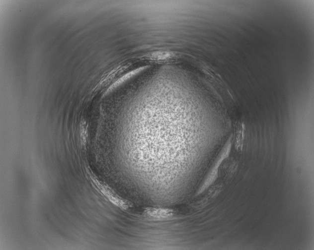 X0000085810476200703301530