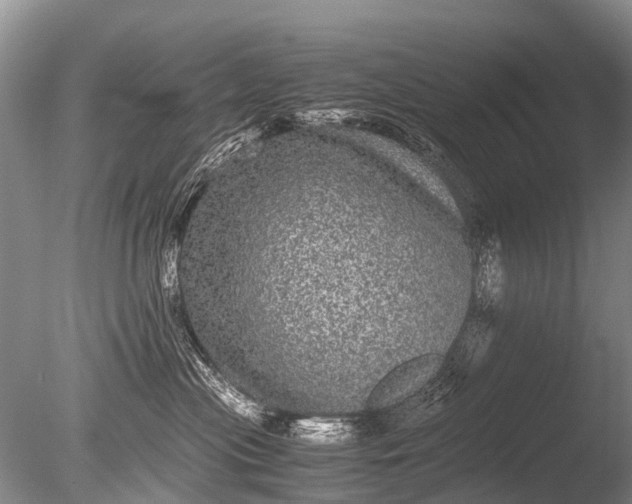 X0000085810477200703301530