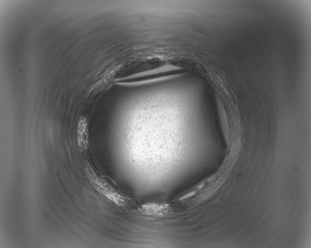 X0000085810480200703301530