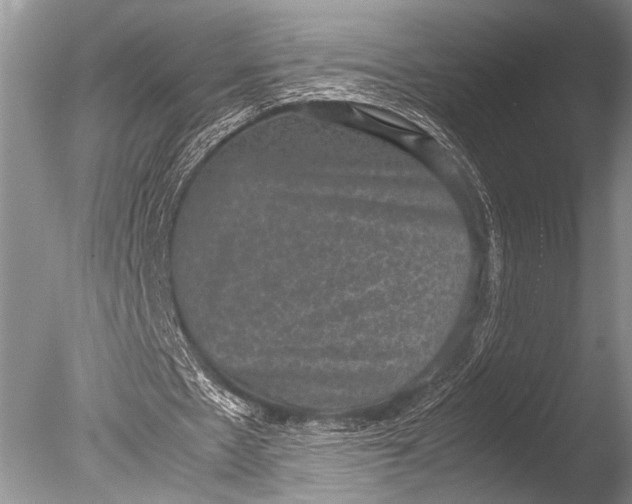 X0000085810481200703301529