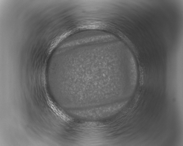 X0000085810482200703301529