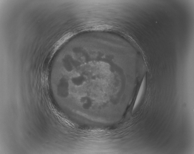 X0000085810483200703301529