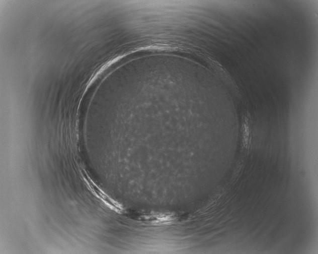 X0000085810484200703301529