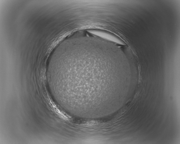 X0000085810485200703301529