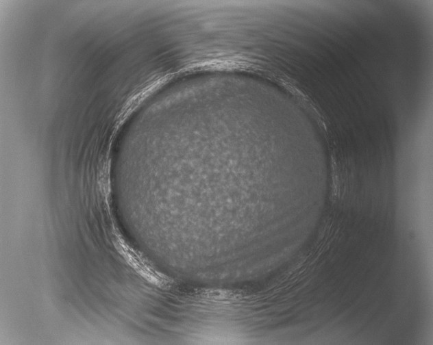 X0000085810486200703301529