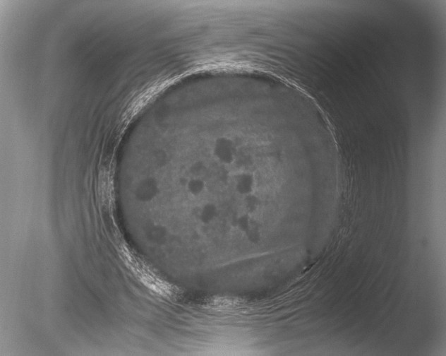 X0000085810487200703301529