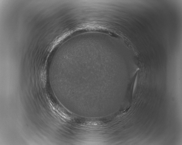 X0000085810488200703301529