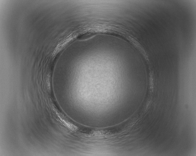 X0000085810489200703301529