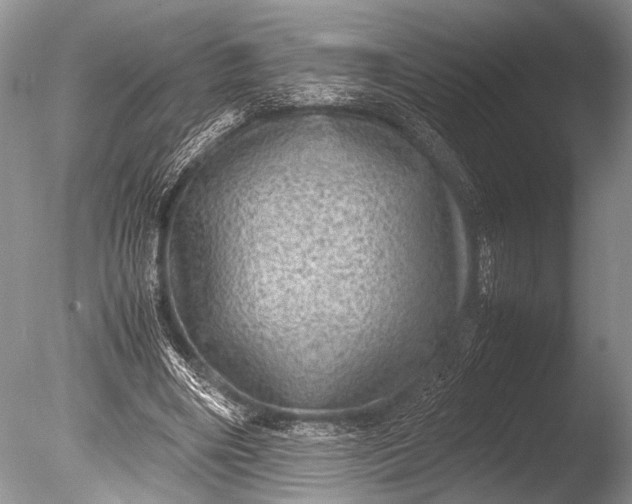 X0000085810490200703301529