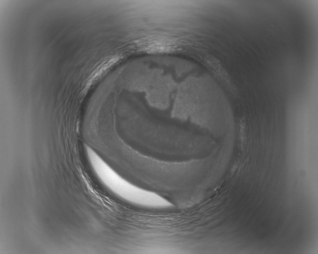 X0000085810491200703301529