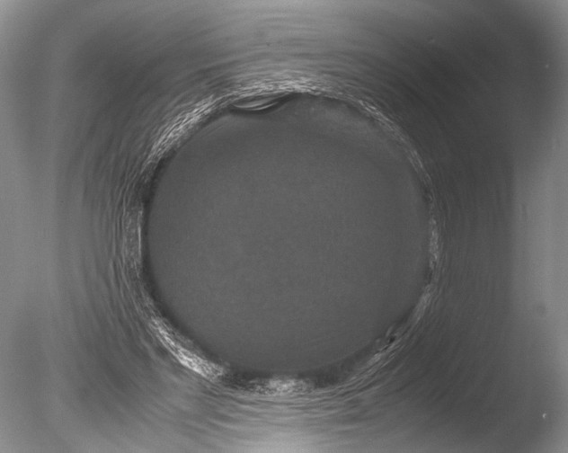 X0000085810493200703301529