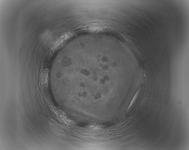 X0000085810495200703301529