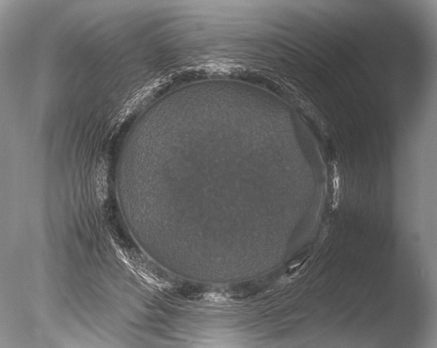 X0000085810496200703301529