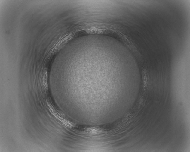 X0000085810498200703301529