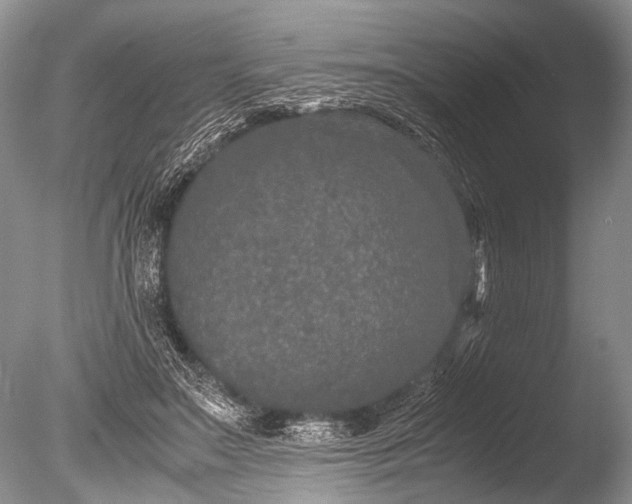 X0000085810499200703301529