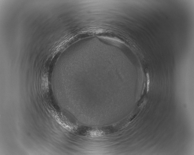 X0000085810500200703301529