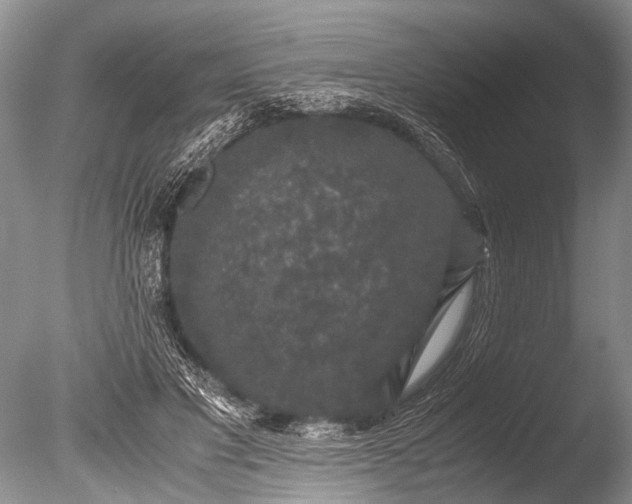 X0000085810501200703301529