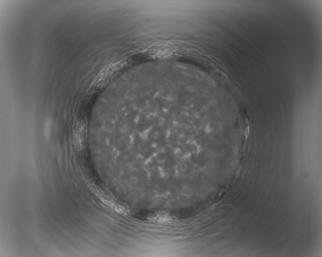 X0000085810503200703301529