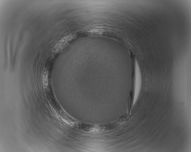 X0000085810504200703301529