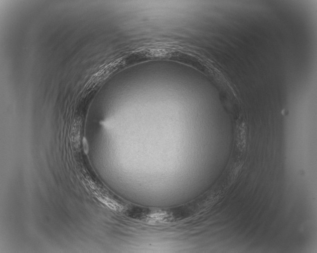 X0000085810505200703301529