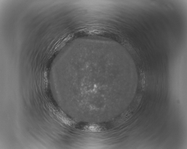 X0000085810506200703301529