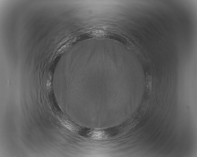 X0000085810507200703301529