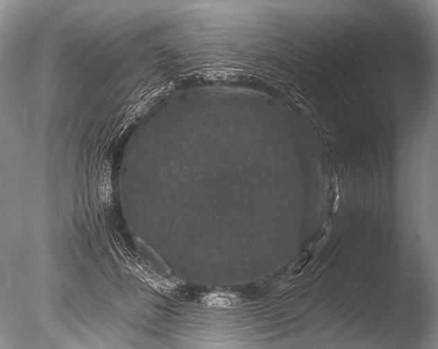 X0000085810508200703301529