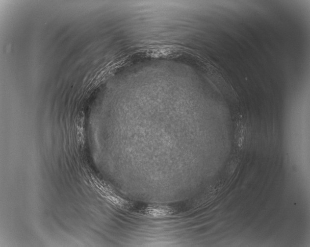 X0000085810510200703301529