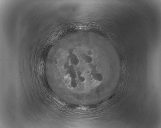 X0000085810511200703301529