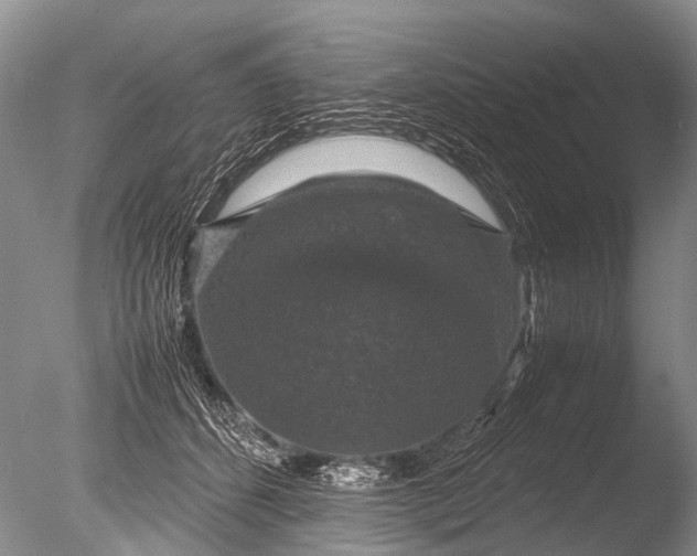 X0000085810512200703301529