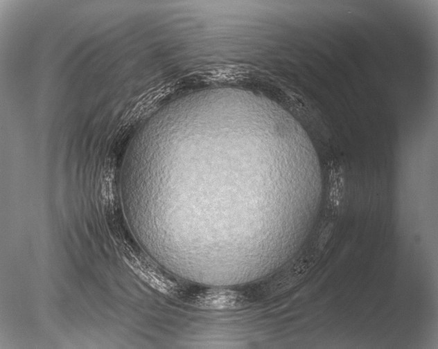 X0000085810514200703301529