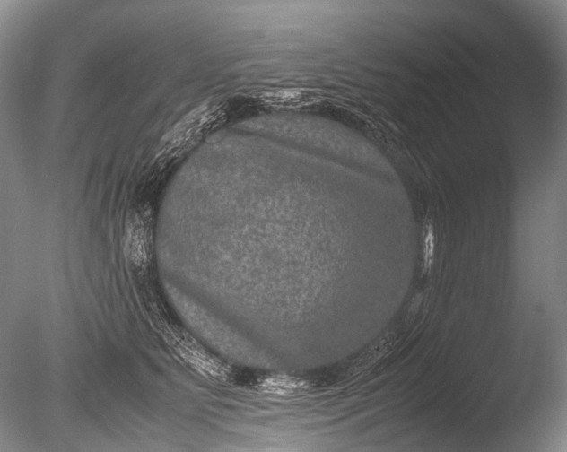 X0000085810515200703301529