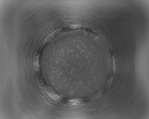 X0000085810516200703301529