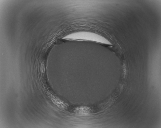 X0000085810517200703301529