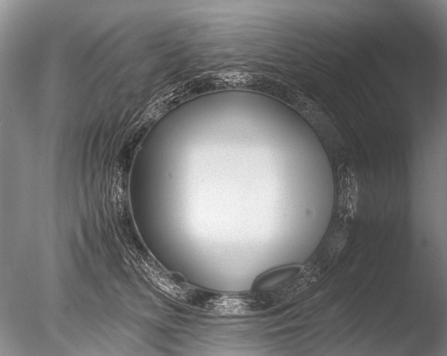 X0000085810518200703301528