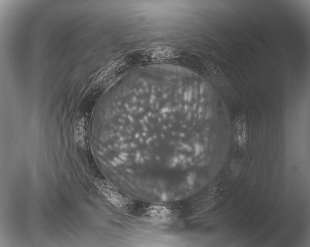 X0000085810519200703301528