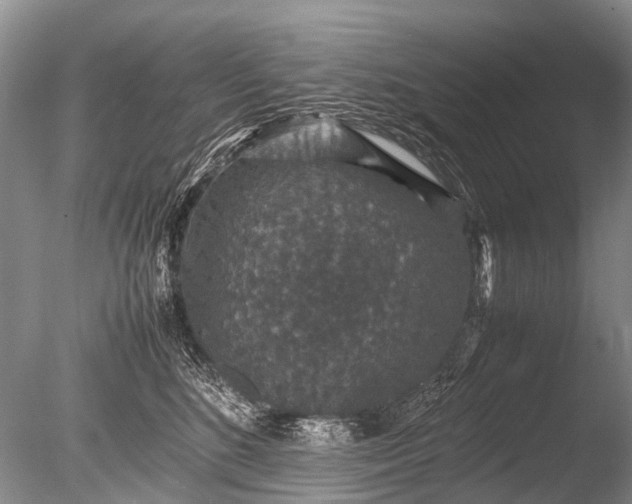 X0000085810520200703301528