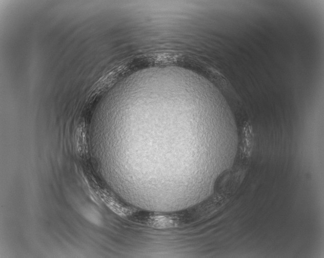 X0000085810522200703301528