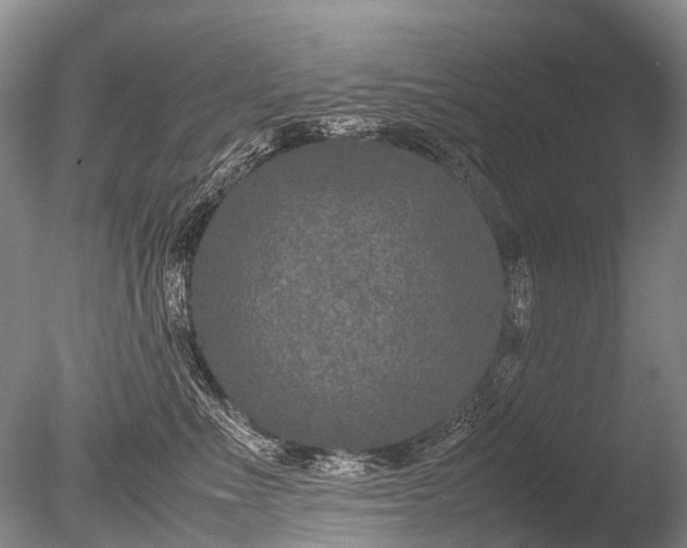 X0000085810523200703301528