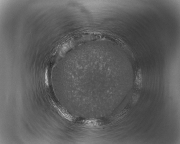 X0000085810524200703301528