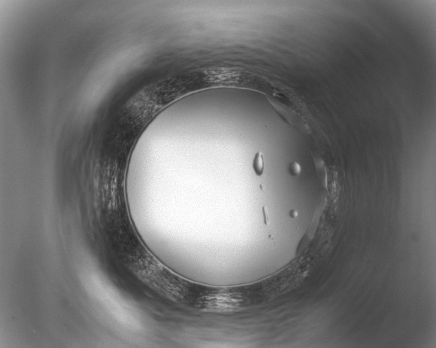 X0000085810525200703301528