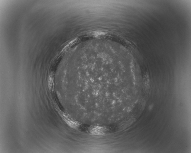 X0000085810527200703301528