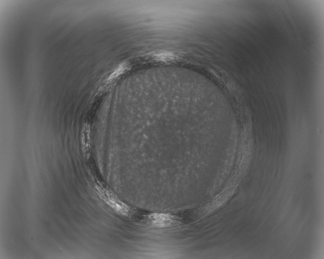 X0000085810528200703301528