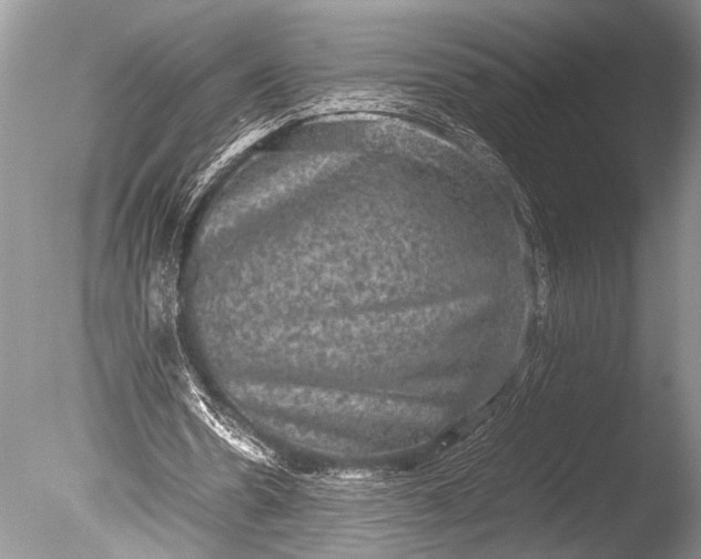 X0000085810530200703301528