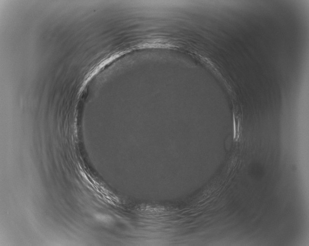 X0000085810531200703301528