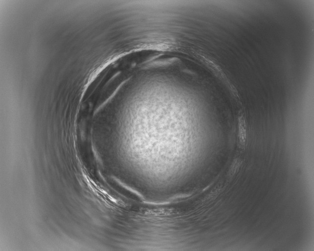 X0000085810532200703301528