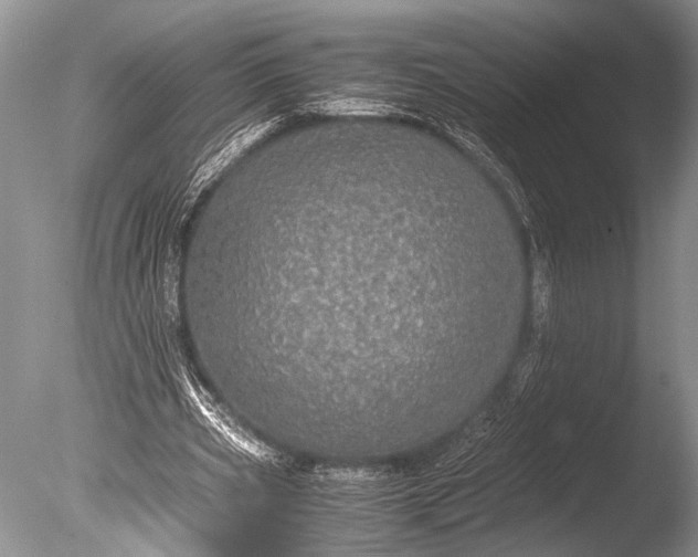 X0000085810533200703301528